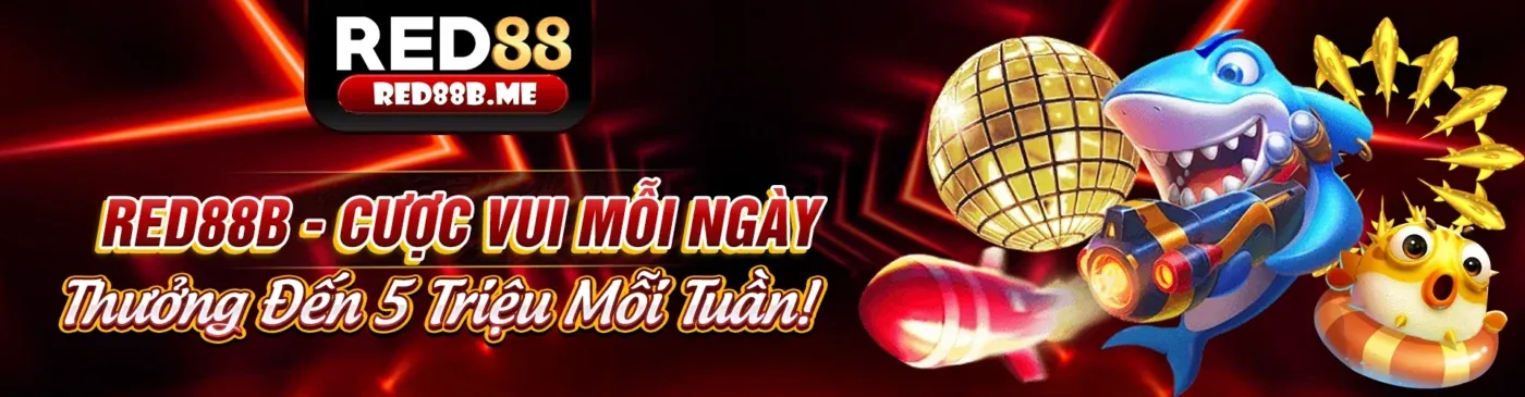 Các quy định và luật chơi của DK88 Login